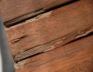 Stucco Legno Polvere